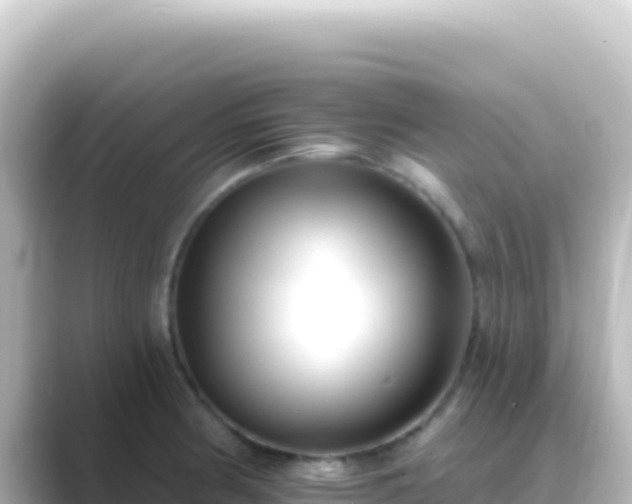 X0000089441186200706221224