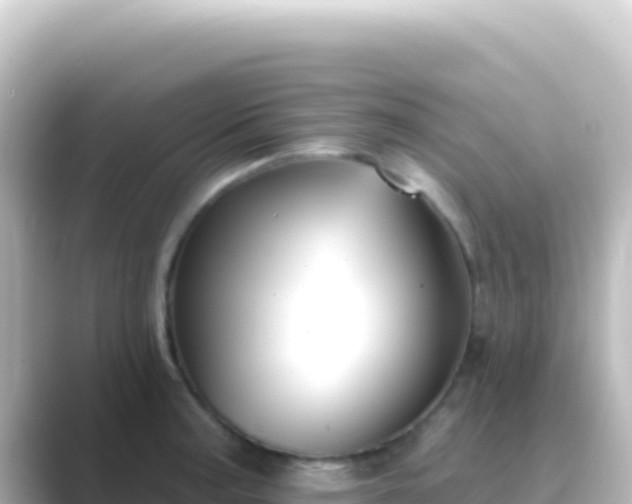 X0000089441187200706221224