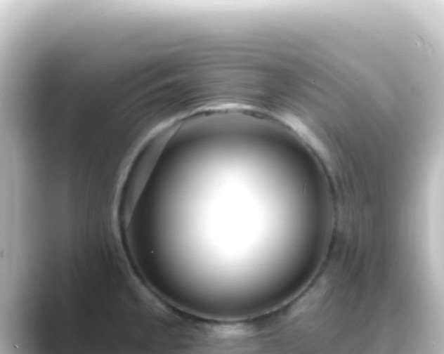 X0000089441189200706221223