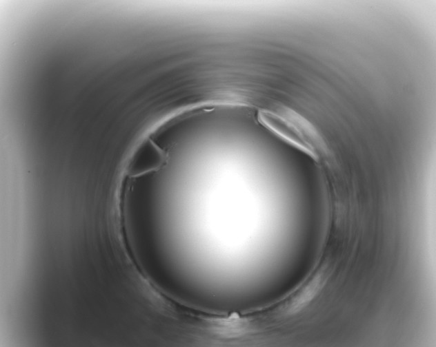 X0000089441192200706221223
