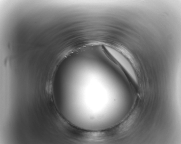 X0000089441193200706221223