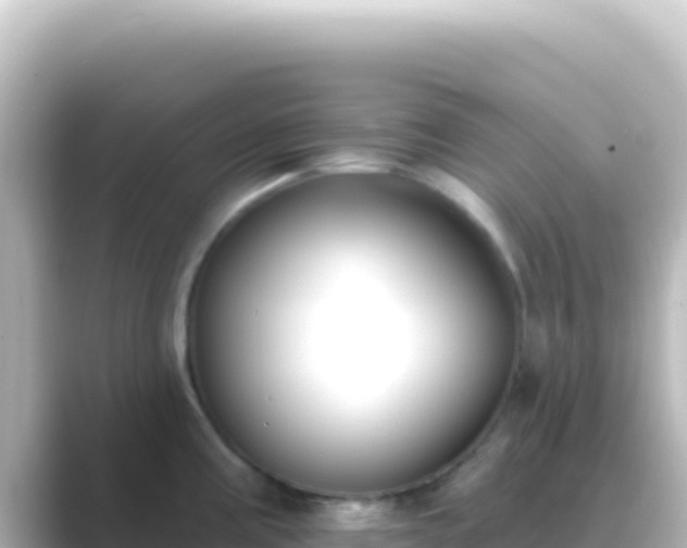 X0000089441195200706221223