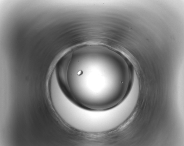 X0000089441196200706221223