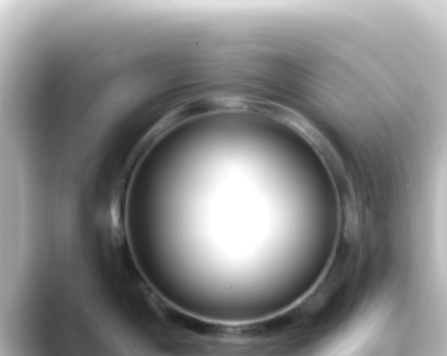 X0000089441198200706221223