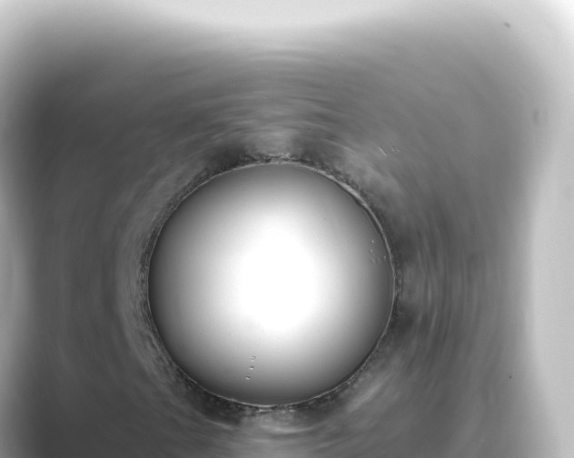 X0000089441201200706221223
