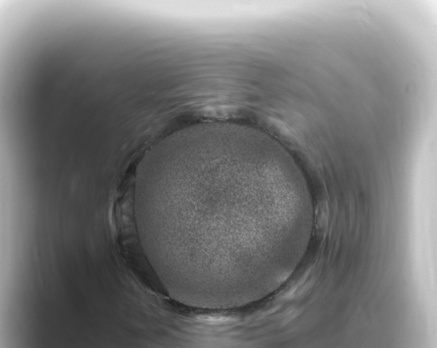X0000089441202200706221223