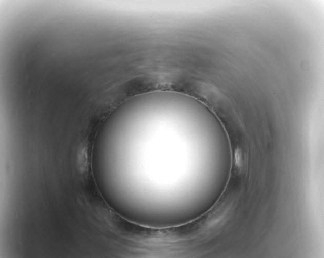 X0000089441203200706221223