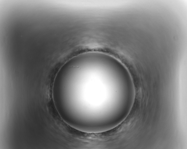 X0000089441205200706221223