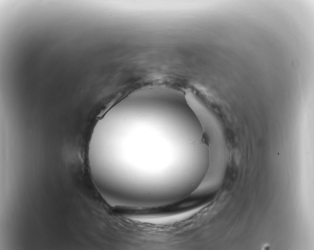 X0000089441206200706221223