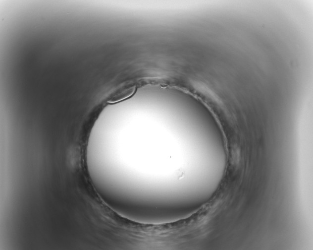 X0000089441208200706221223