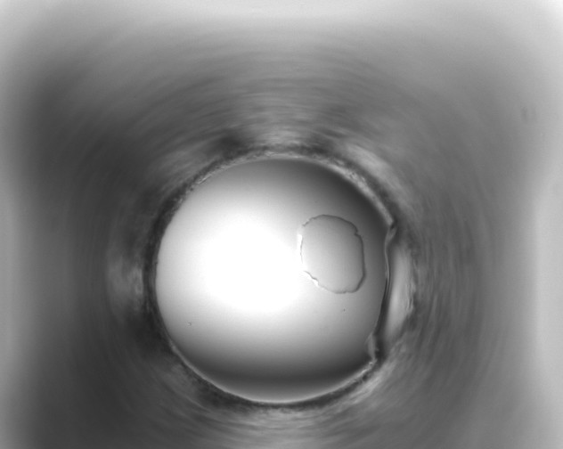 X0000089441209200706221223