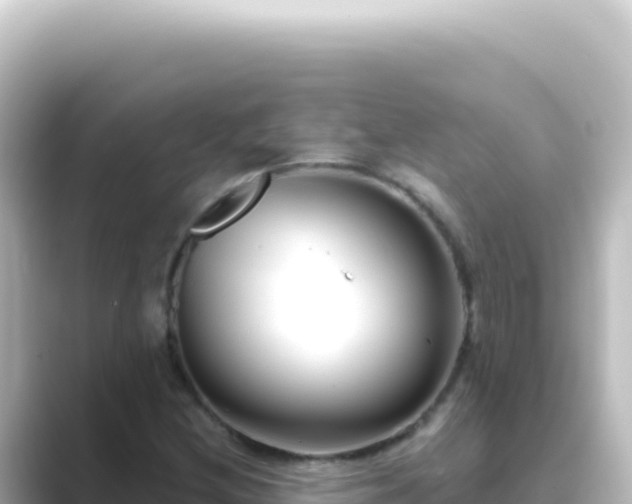 X0000089441212200706221223