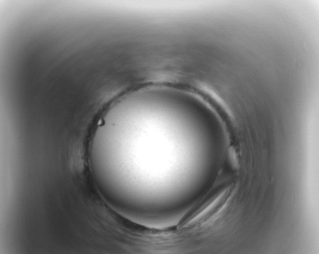 X0000089441213200706221223