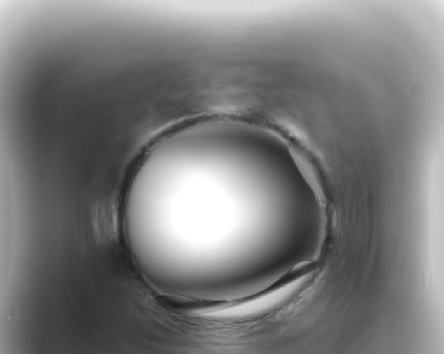 X0000089441214200706221223