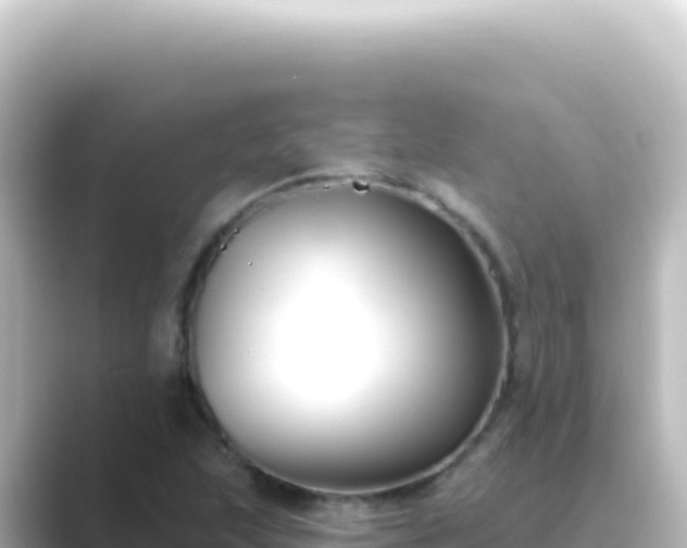 X0000089441215200706221223