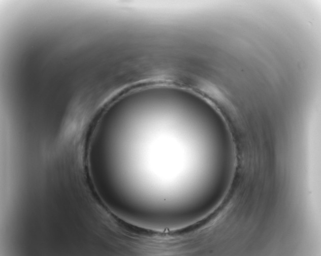 X0000089441216200706221223