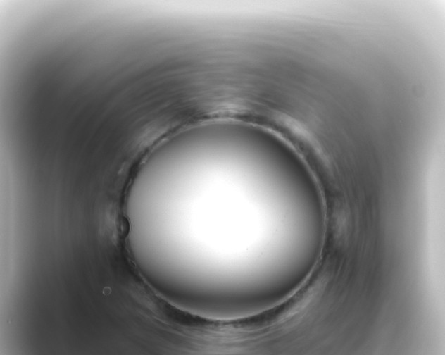 X0000089441217200706221223