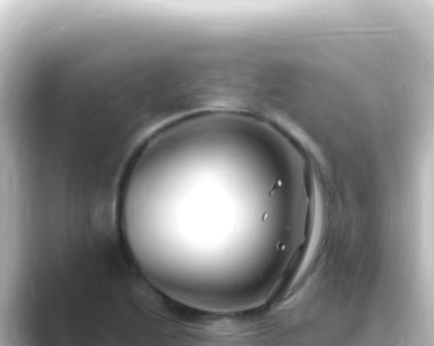 X0000089441222200706221223