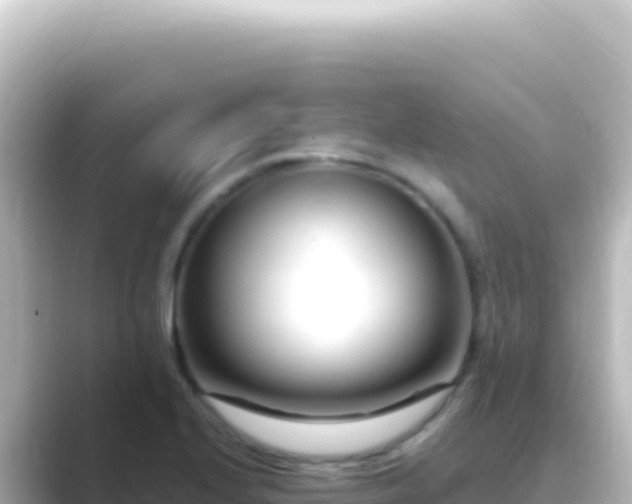 X0000089441224200706221223