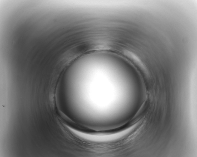 X0000089441225200706221223