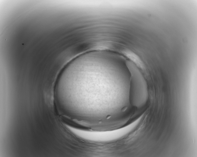 X0000089441226200706221223