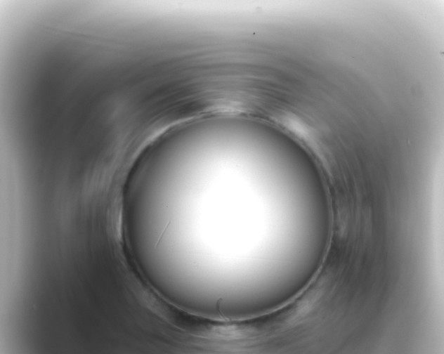 X0000089441227200706221223