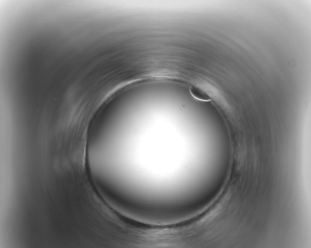 X0000089441228200706221223