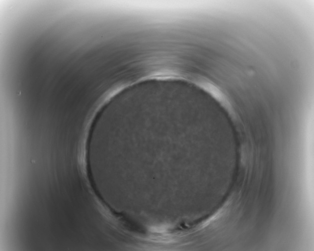 X0000089441229200706221223