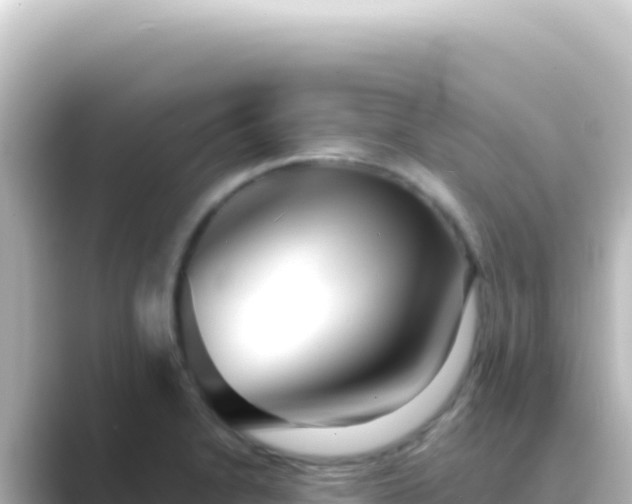 X0000089441230200706221223