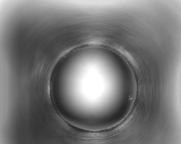 X0000089441232200706221223