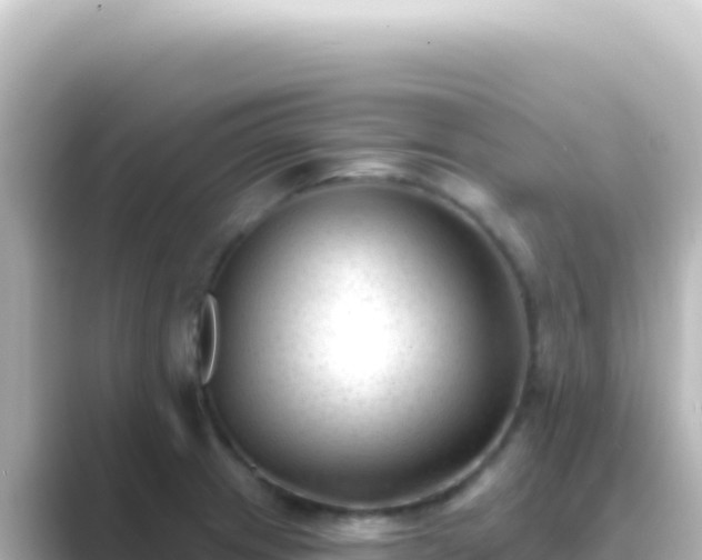 X0000089441233200706221223