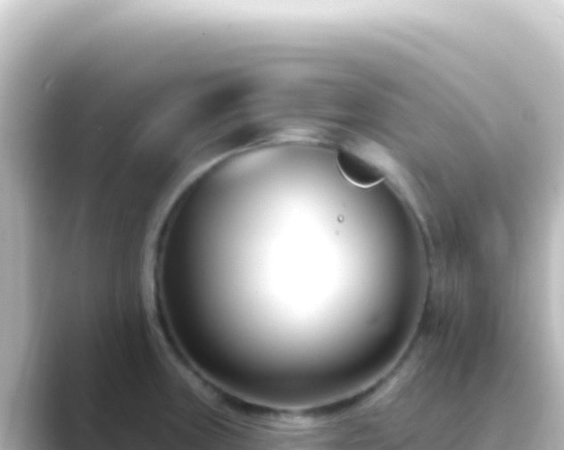 X0000089441235200706221223
