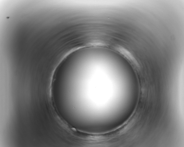 X0000089441236200706221223