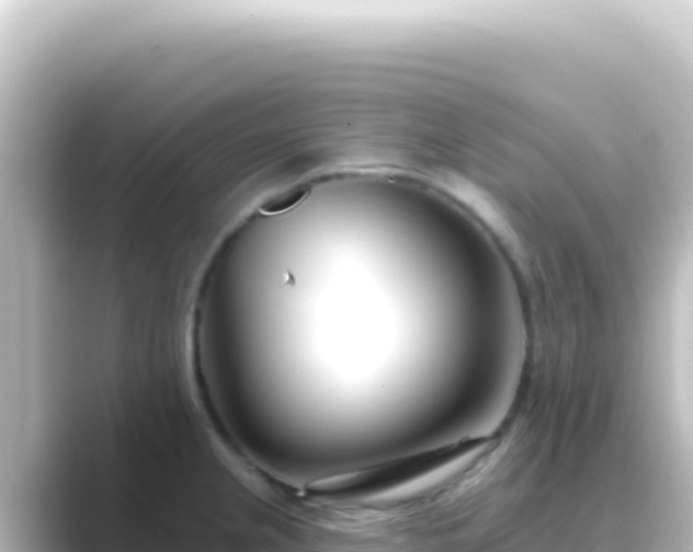 X0000089441237200706221223