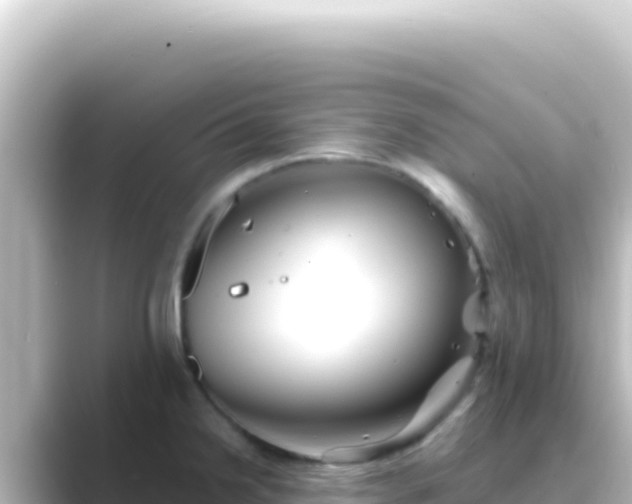 X0000089441238200706221223