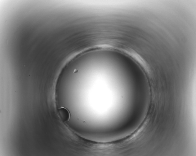 X0000089441240200706221223