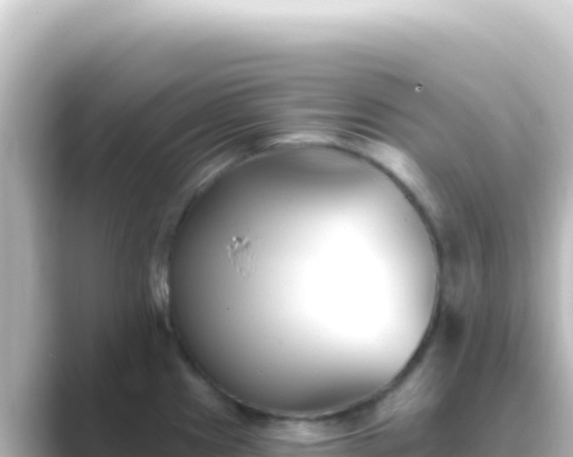 X0000089441241200706221223
