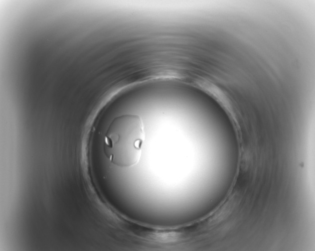 X0000089441243200706221223