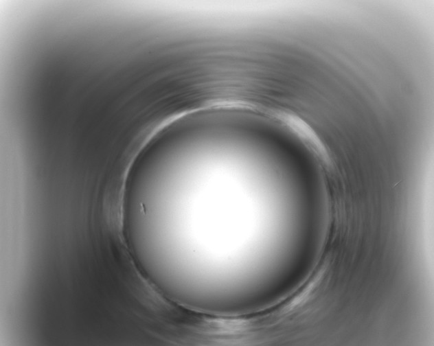 X0000089441244200706221223