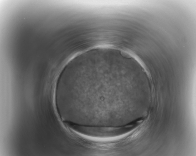 X0000089441245200706221223