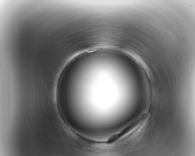 X0000089441246200706221223