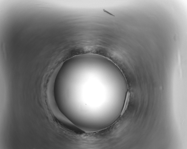 X0000089441249200706221223