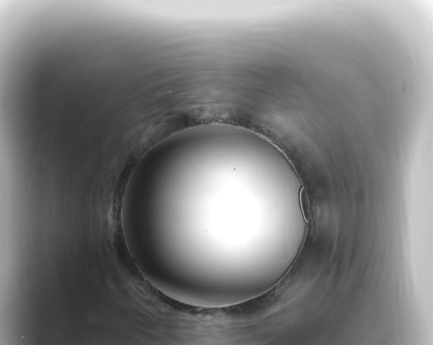 X0000089441250200706221223