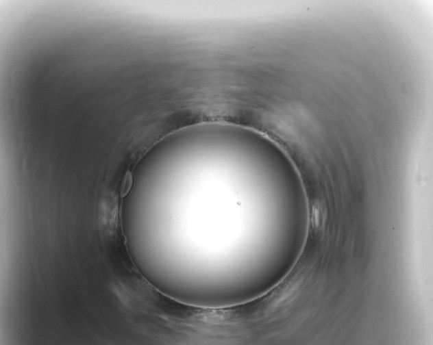 X0000089441251200706221223