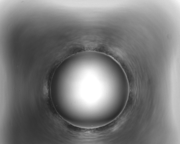 X0000089441252200706221223