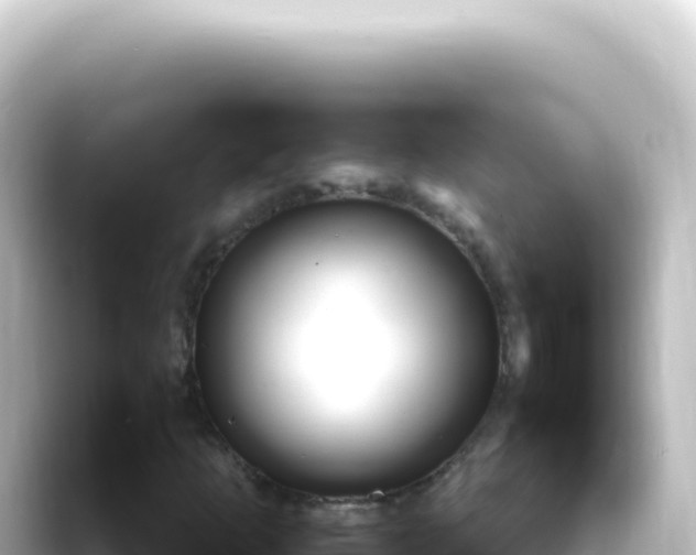 X0000089441253200706221223