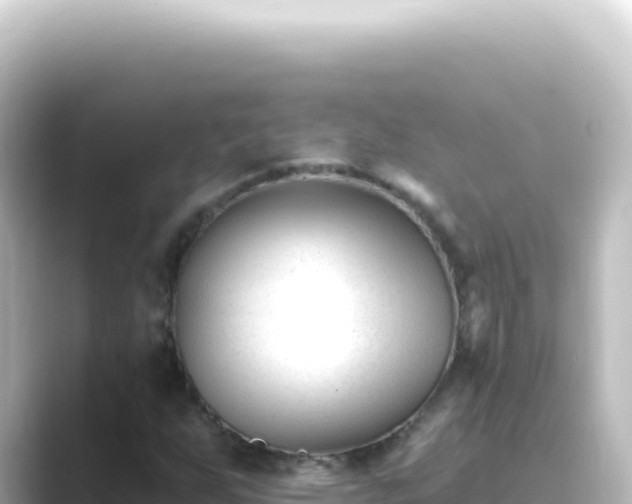 X0000089441255200706221223