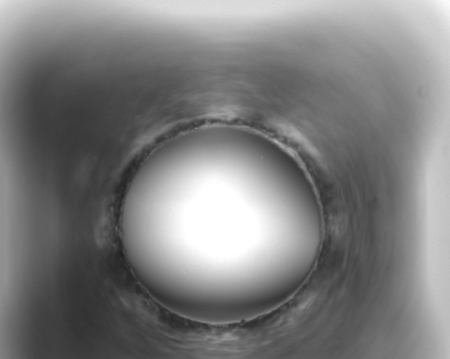 X0000089441256200706221223