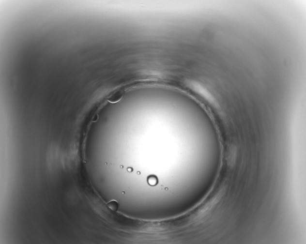 X0000089441259200706221223