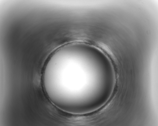 X0000089441260200706221223